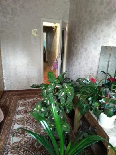 3-к. квартира, 76,4 м², 2/2 эт.