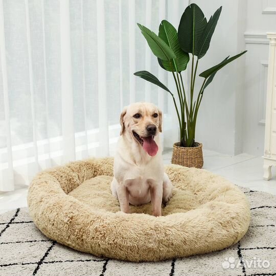 Лежанка для большой собаки