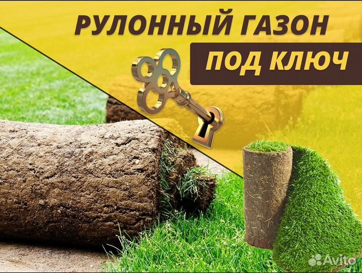 Стандарт рулонный газон