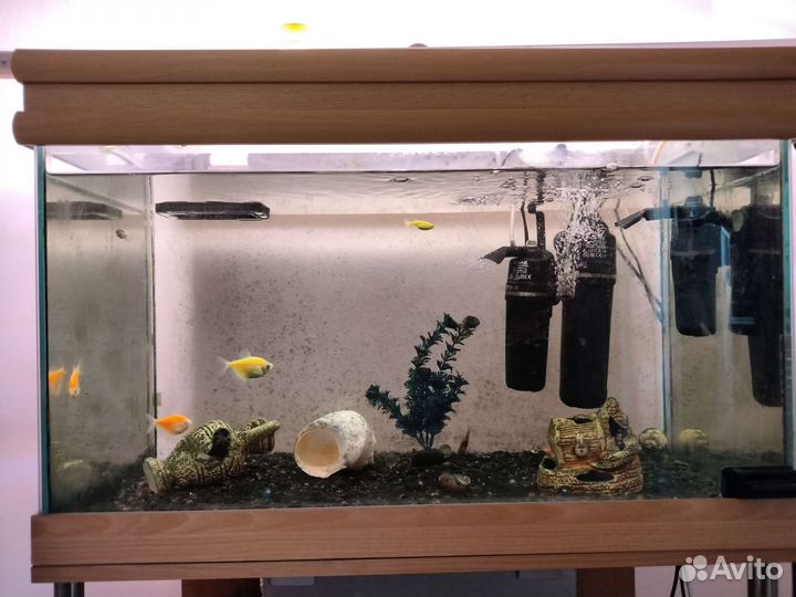 Аквариум с тумбой, рыбками и 1 фильтром