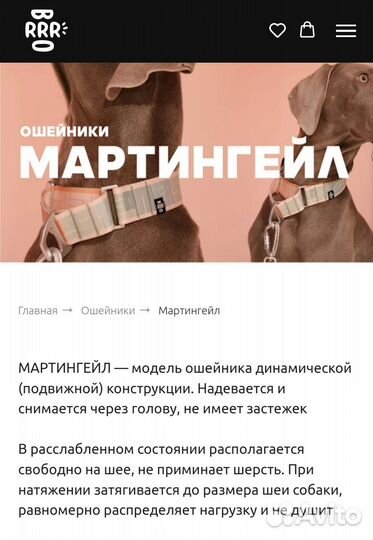 Ошейник мартингейл