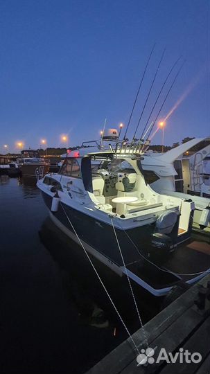 Bayliner 246