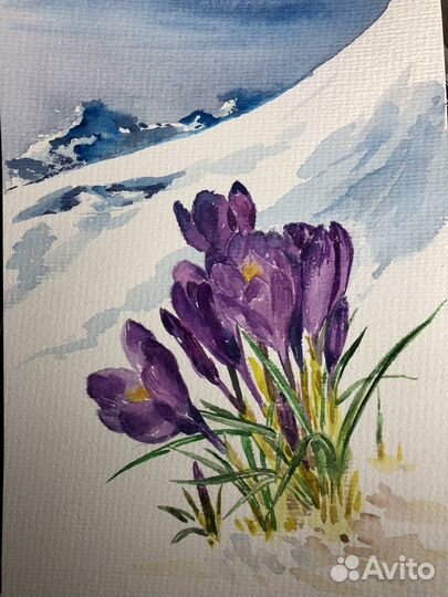 Крокусы, акварель, пейзаж