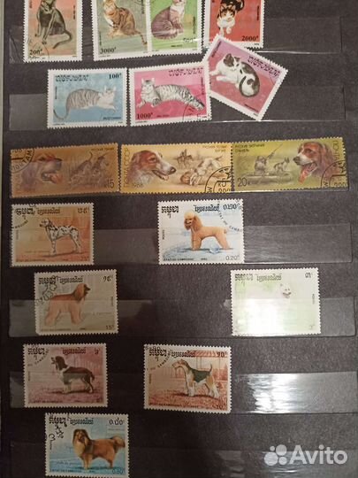 Почтовые марки