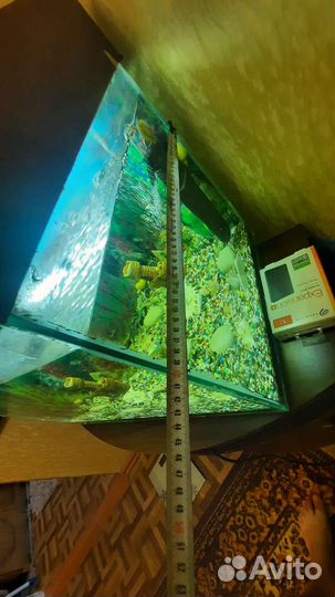 Аквариум