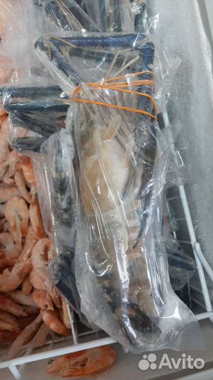 Креветки, раки, крабы