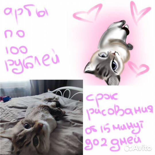 Нарисую вашего питомца