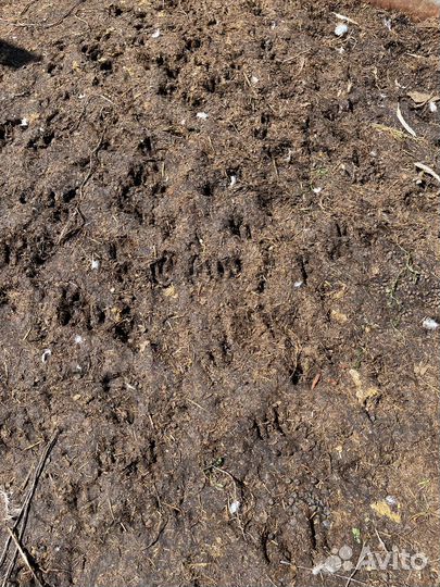 Навоз козий, подстилка