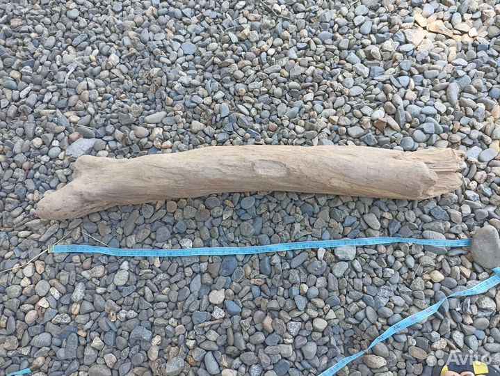 Дрифтвуд коряги морской декор