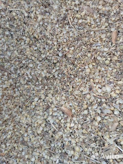 Корм для животных