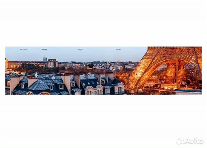 Книга Rooftop Paris: A Panoramic View