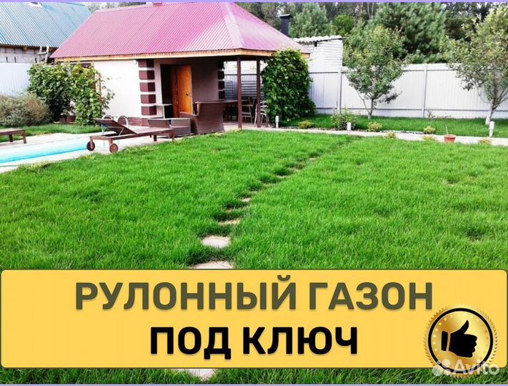 Рулонный газон Элитный