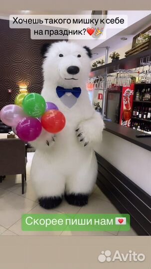 Медведь на праздник, белый мишка на др