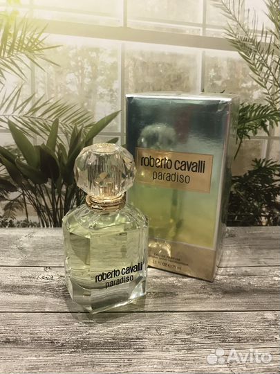 Roberto cavalli paradiso