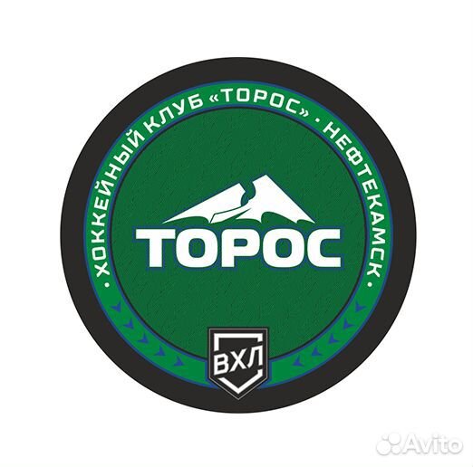 Шайбы хоккейных команд вхл
