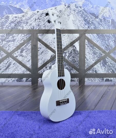 Укулеле - концерт (новая), комплект