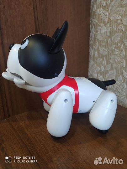 Собака-робот duke