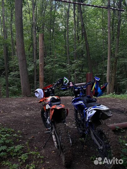 Ataki ec 250 2023 г