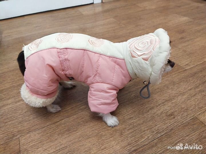 Зимний комбинезон для собаки, новый, S