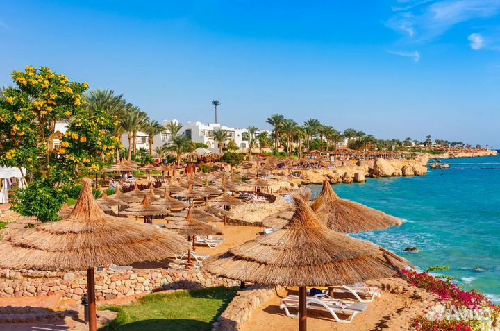 Тур путевка Шарм-эш-Шейх 7 ночей все вкл. от 1 чел