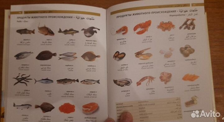 Арабский язык. Иллюстрированный словарь