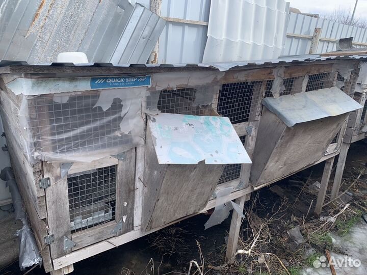 Клетка для кроликов (кролятня)