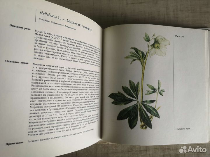 Книга про Альпинарий