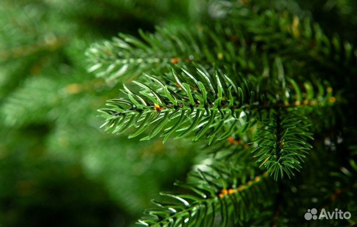 Искусственная Ель как настоящая