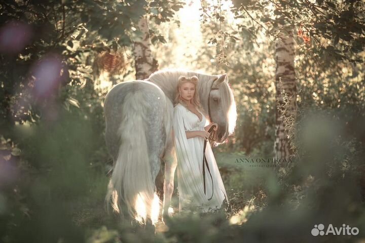 Аренда лошади на фотосессии