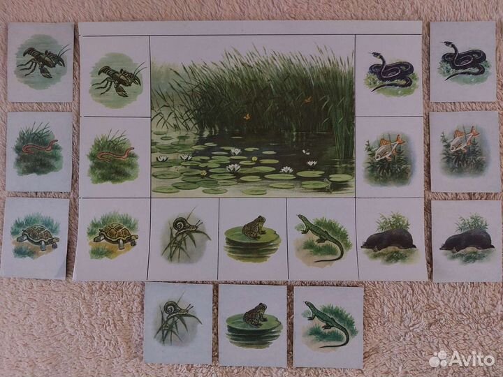 Игра Зоологическое лото