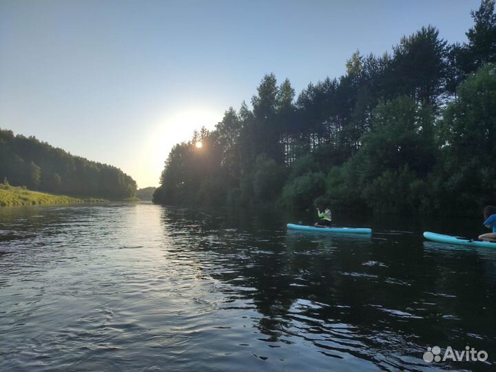 Прокат сапбордов. Доставка