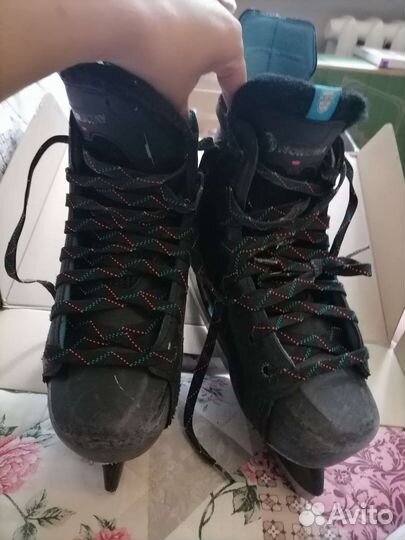 Коньки ледовые Nordway