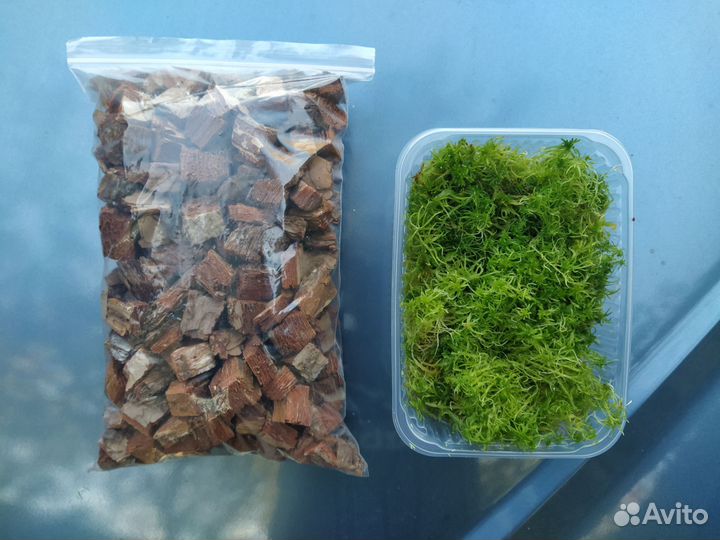 Кора сосны (мульча) и мох сфагнум для орхидей