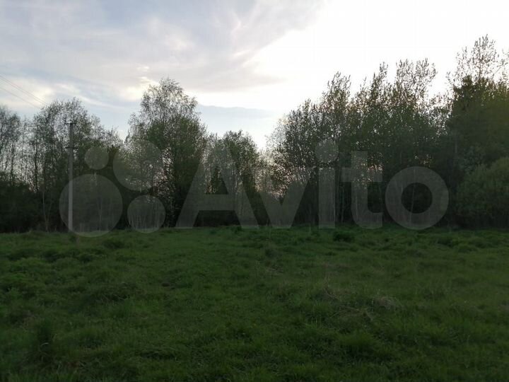 Участок 1,5 га (ИЖС)