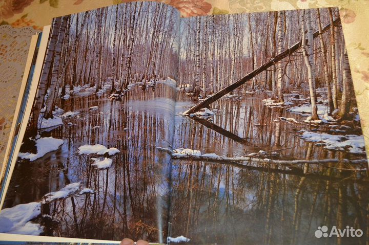 Книга-фотоальбом 