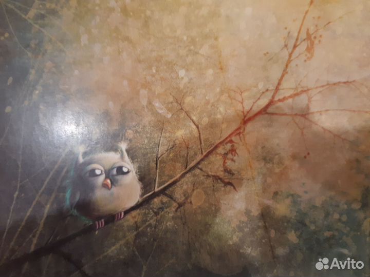 Открытки Совы