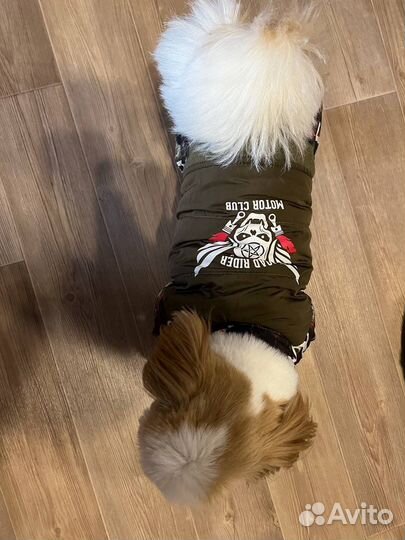 Комбинезон Одежда для маленьких собак