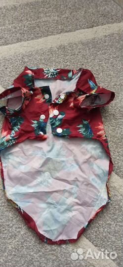 Рубашка Новая для кошек или маленьких собак