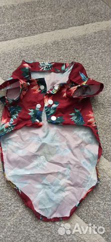 Рубашка Новая для кошек или маленьких собак