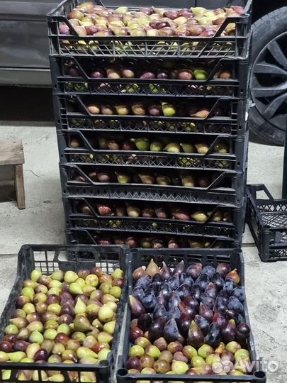 Продукты питания