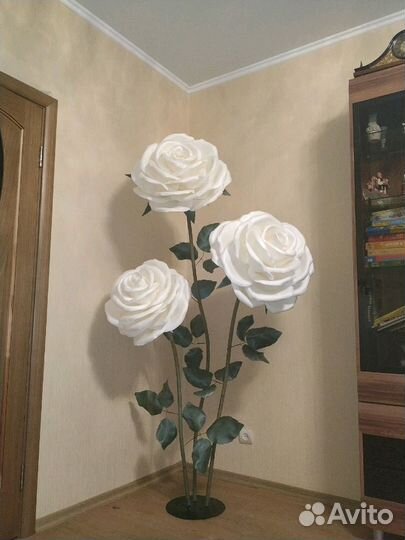 Ростовые цветы Роза