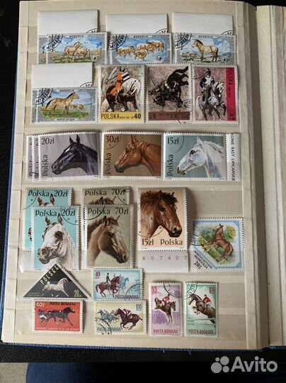 Почтовые марки Лошади