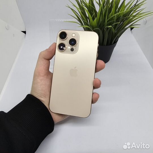 iPhone XR в корпусе 16 Pro