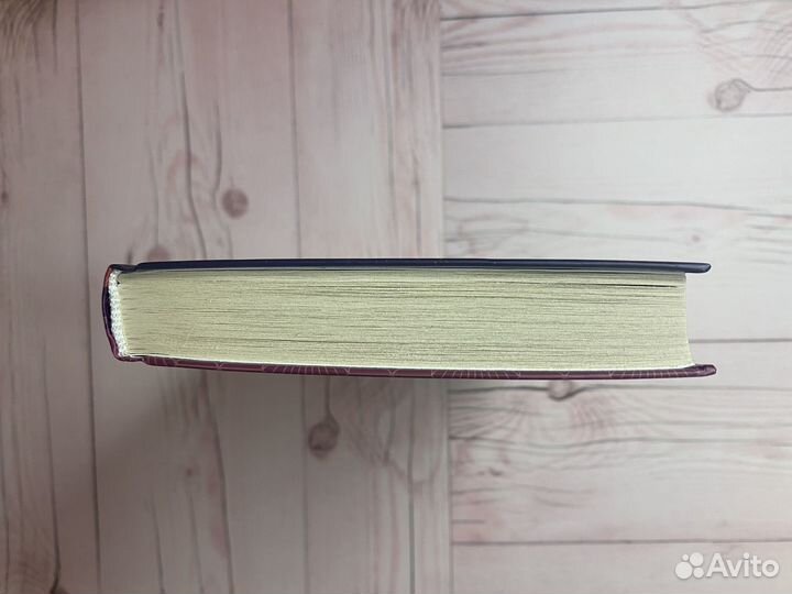 Марисса Мейер, Кто на свете всех прекрасней