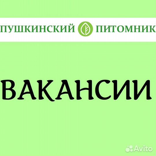 Продавец-консультант в Питомник Растений