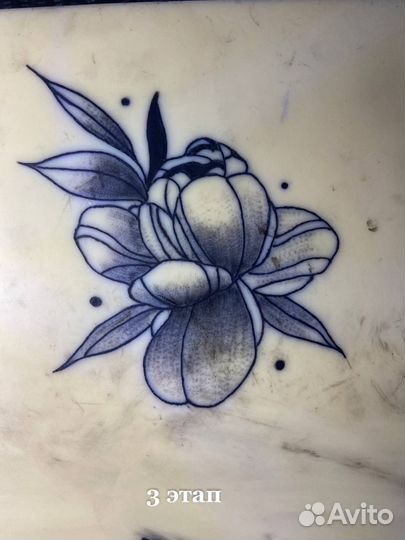 Начинающий тату мастер