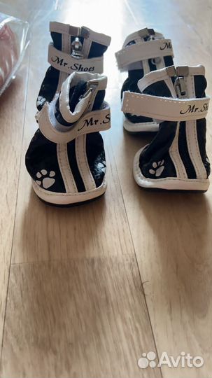 Обувь для маленьких собак