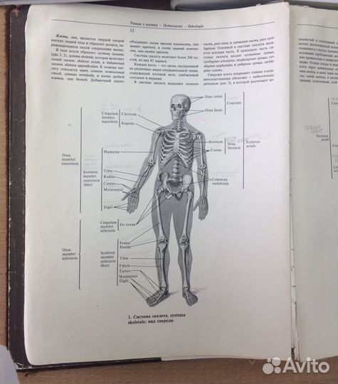 Репетитор по химии и биологии