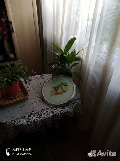 Тортница сср