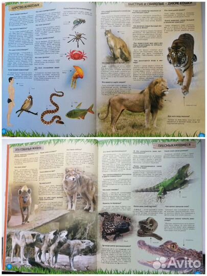 Детская энциклопедия